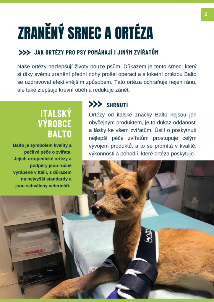Tisková ukázka 3